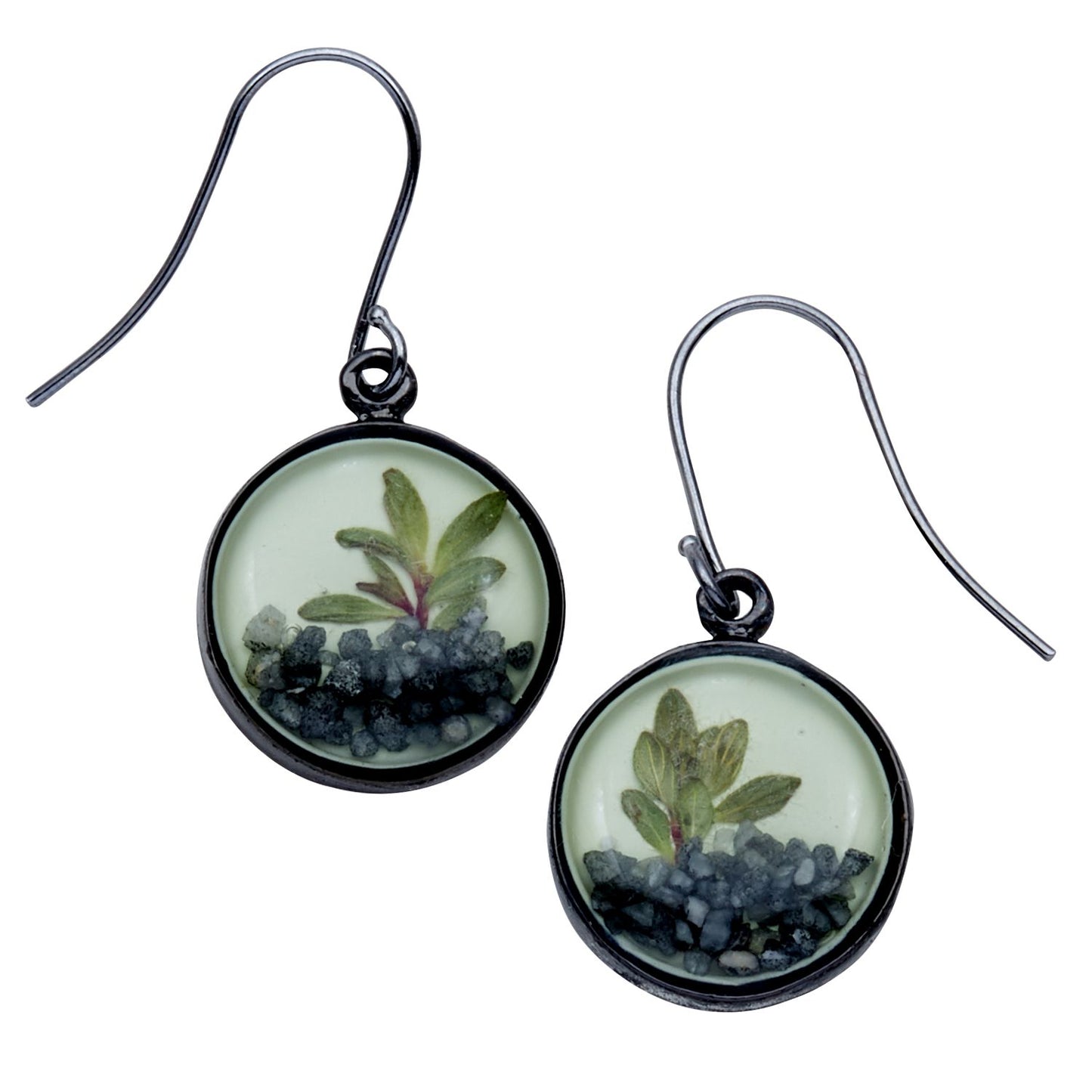"Succulents" Thyme Round Earrings