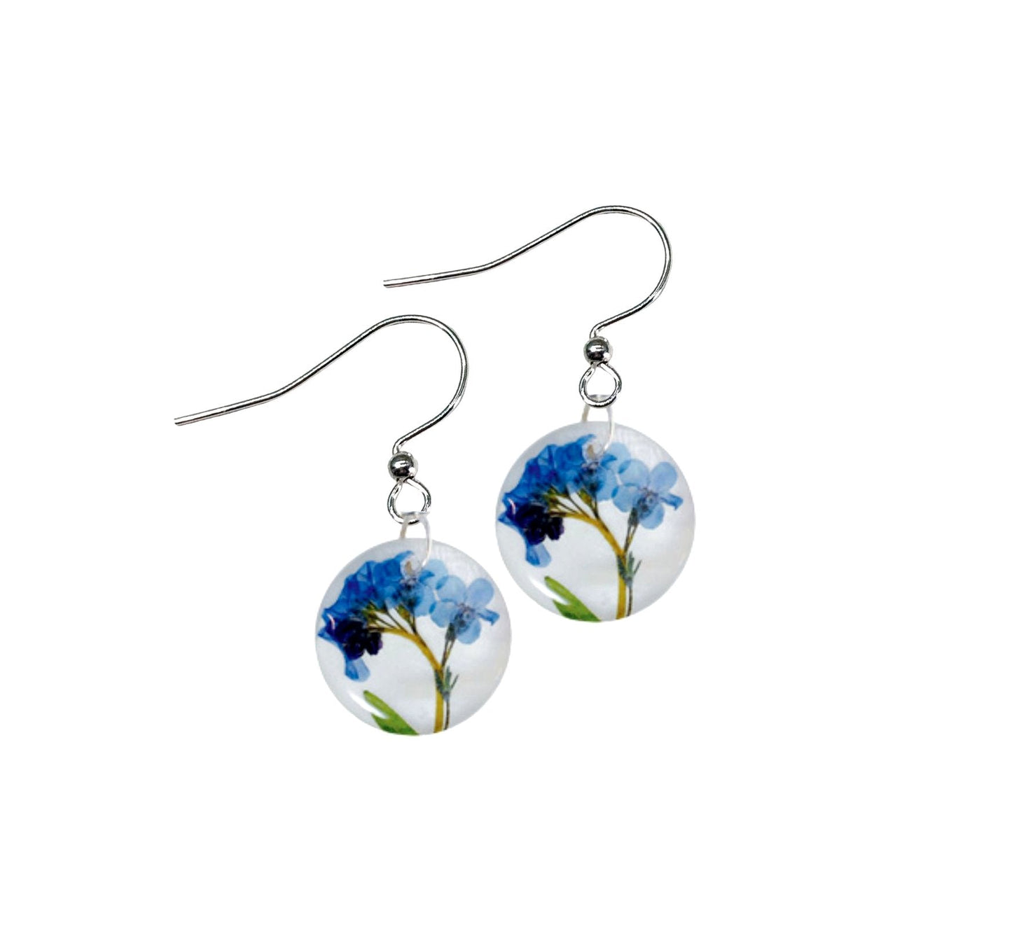 Forget Me Not On Shell 20mm Earrings