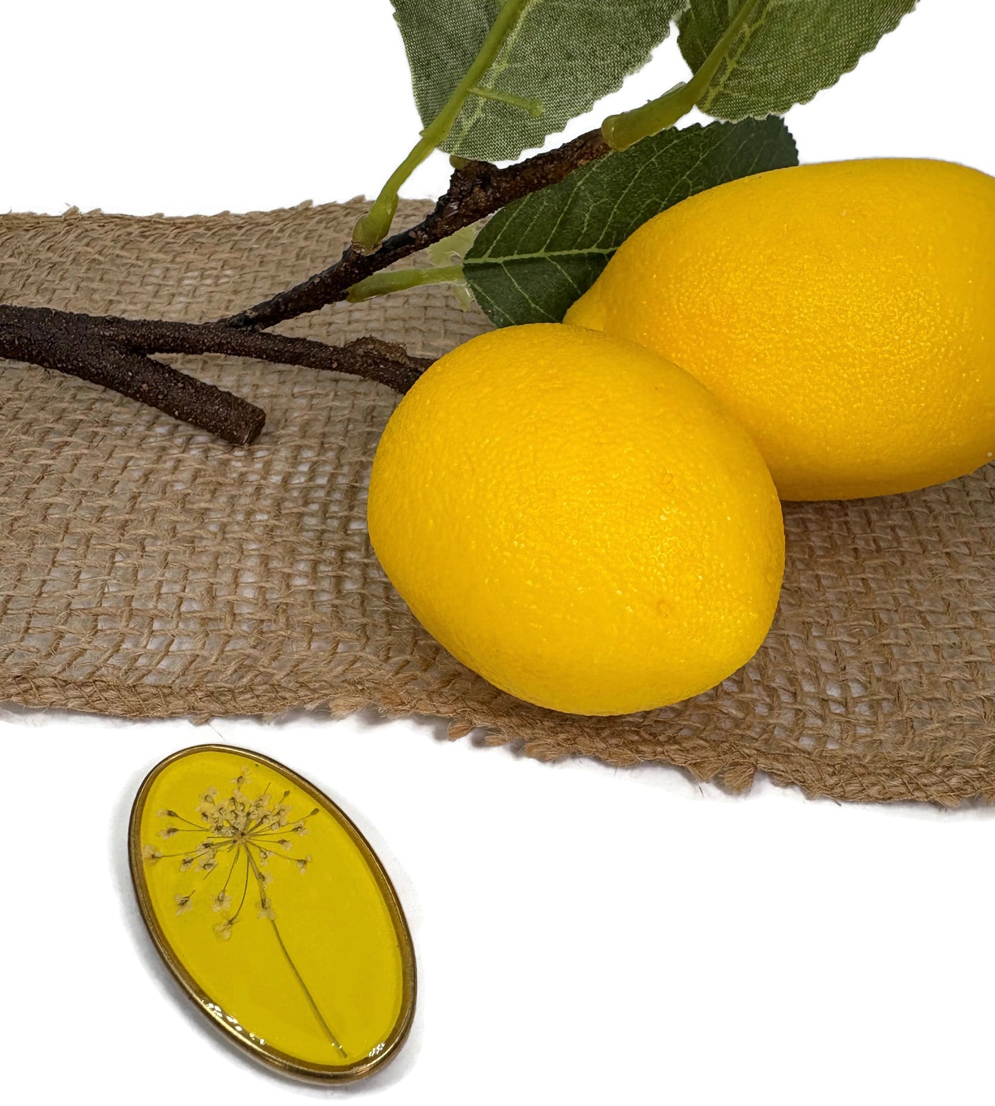 Lemon Drop Magnets Oval Set of 4
