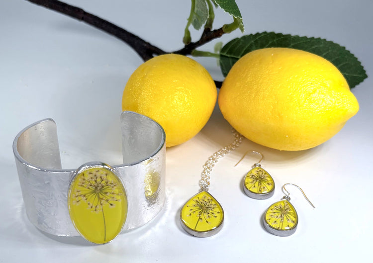 Brand New Collections