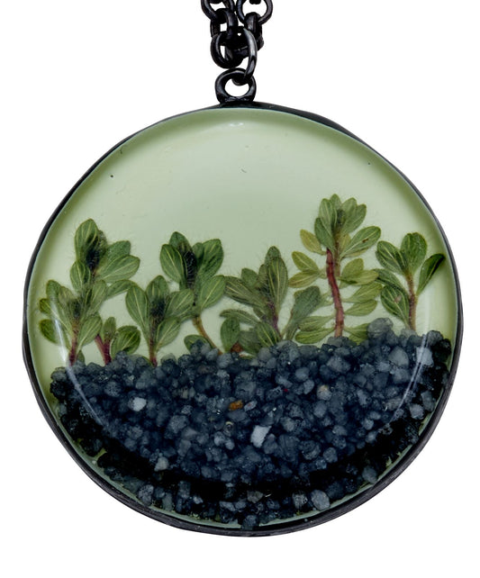 "Succulents" Thyme Large Round Necklace